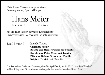 Traueranzeige von Hans Meier von Pegnitz-Zeitung